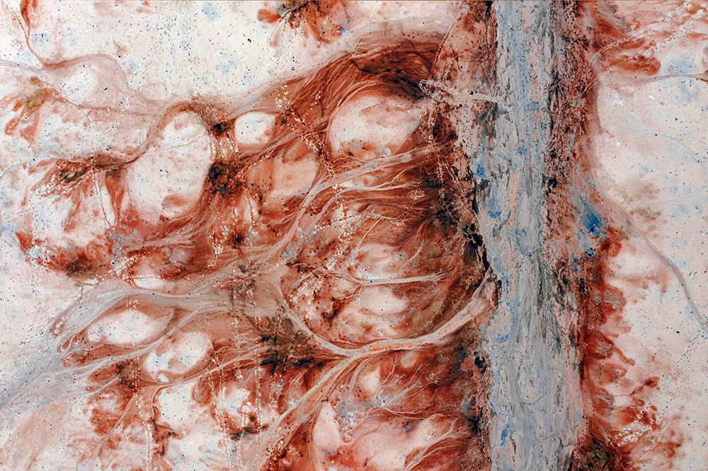 Dried And Frozen Lake Vrbje, Slovenia art print by Jure Kravanja for $57.95 CAD