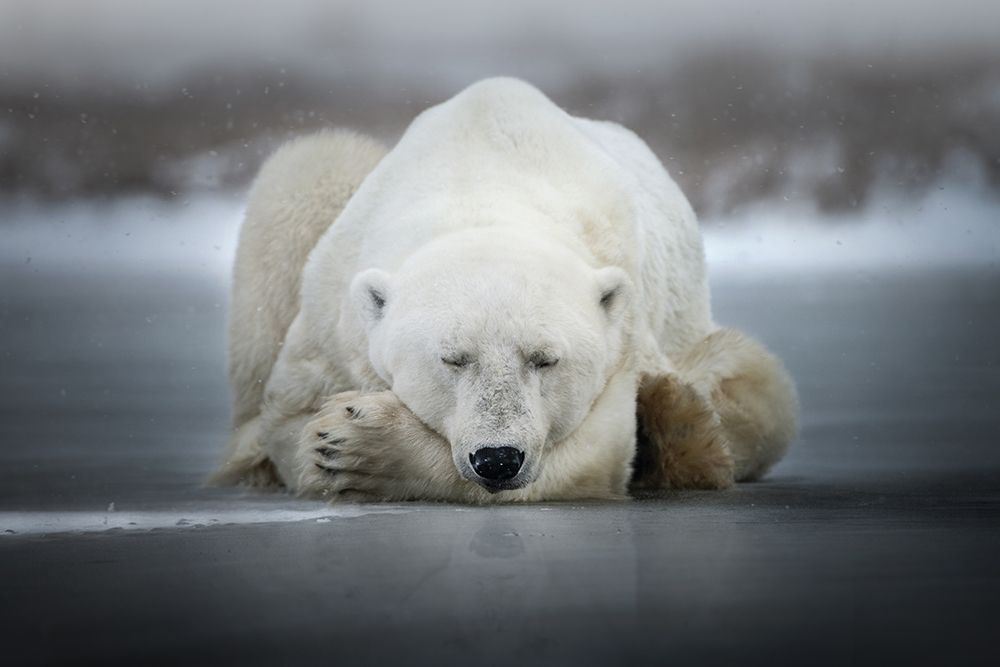 Dreaming alone art print by Alberto Ghizzi Panizza for $57.95 CAD