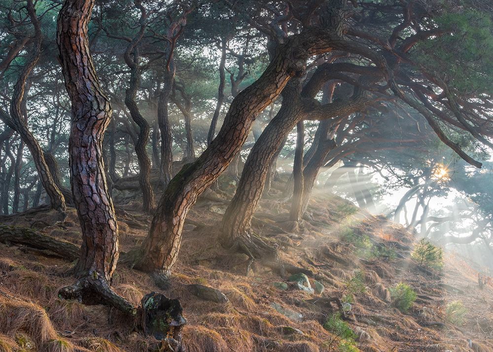 Holy light art print by Jaeyoun Ryu for $57.95 CAD