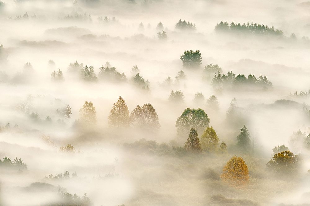 Autumn Dream 3 art print by Roberto Marini for $57.95 CAD