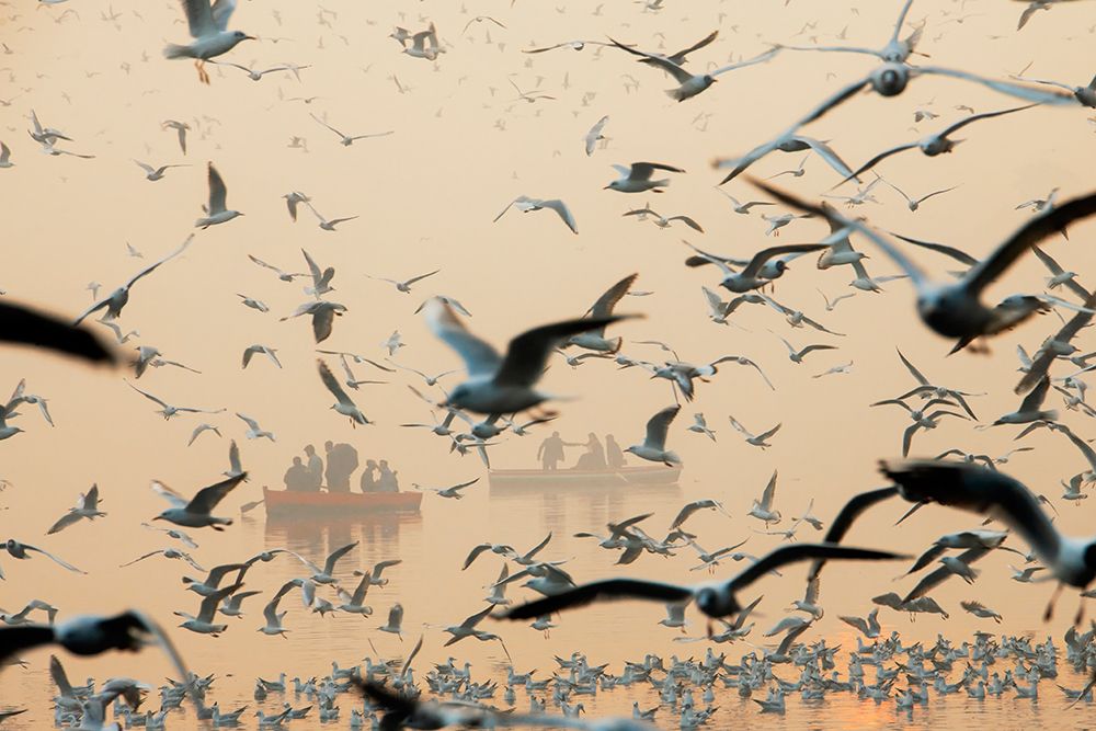 bird art print by Murat BAKMAZ for $57.95 CAD