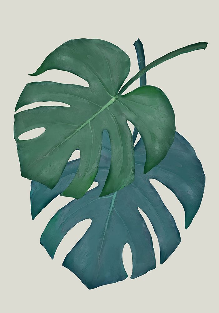 Monstera Aqua 06 art print by 1x Studio II for $57.95 CAD
