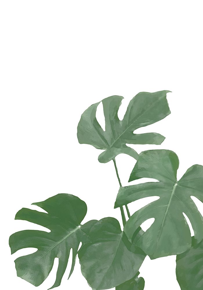 Monstera Aqua 04 art print by 1x Studio II for $57.95 CAD
