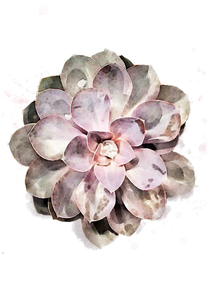 Succulent 01 art print by 1x Studio II for $57.95 CAD
