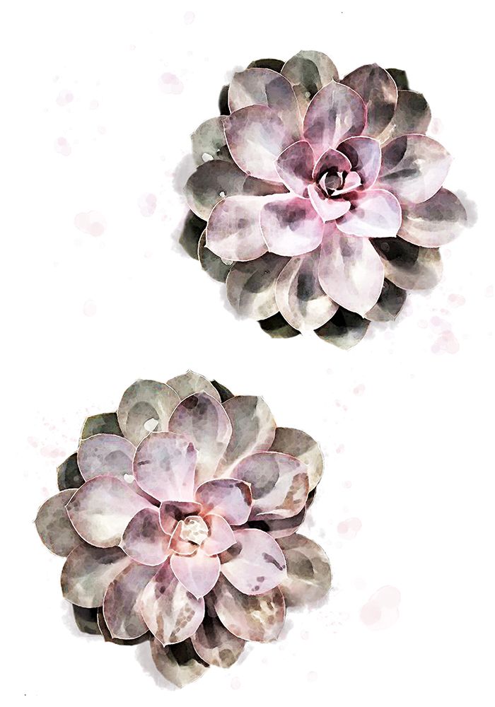 Succulent 02 art print by 1x Studio II for $57.95 CAD