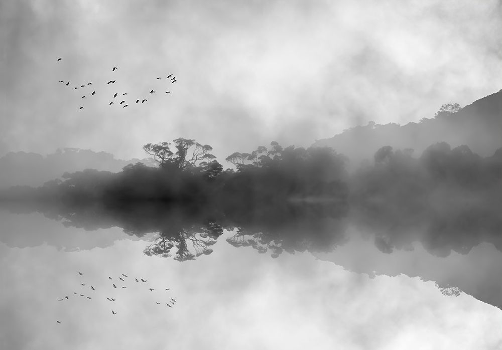 Misty Reflections art print by Jacqueline Hammer for $57.95 CAD