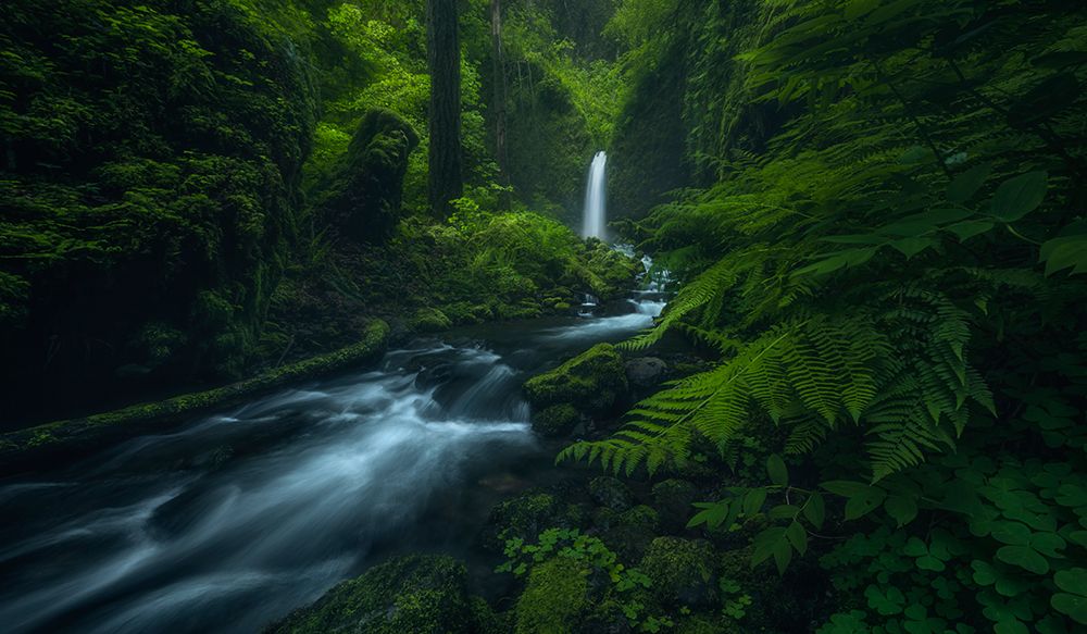 D(r)earest Friend art print by Ryan Dyar for $57.95 CAD