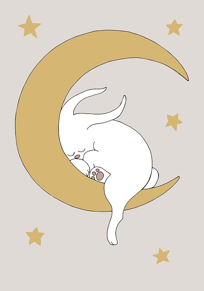 The Rabbit art print by 1x Studio II for $57.95 CAD