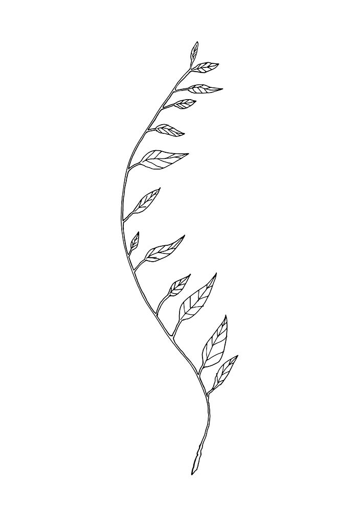 Wavy Branch White art print by 1x Studio II for $57.95 CAD
