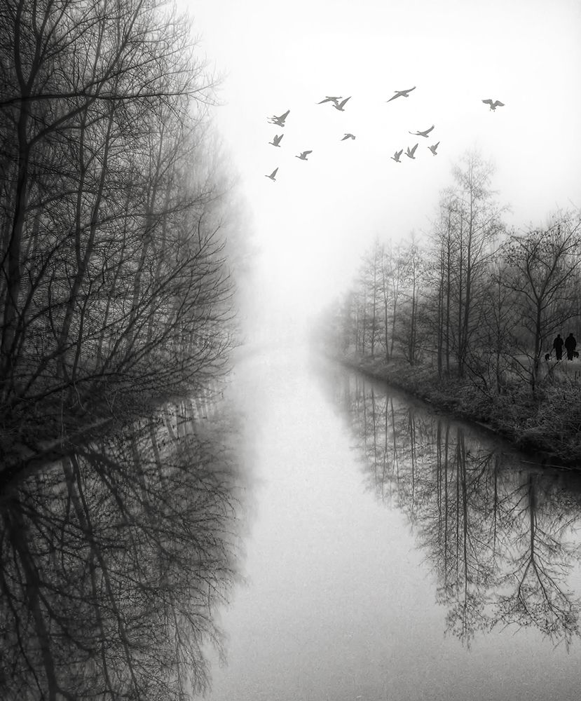 Beyond the fog lies clarity art print by Yvette Depaepe for $57.95 CAD