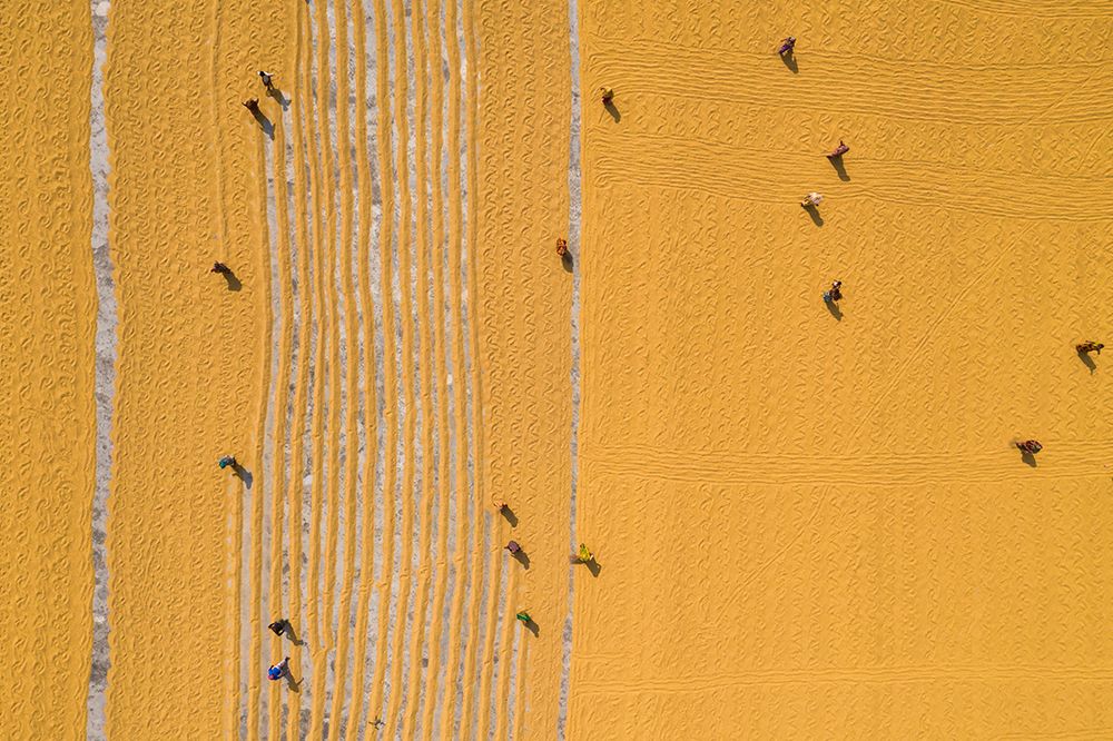 Drying rice under sunlight art print by Azim Khan Ronnie for $57.95 CAD