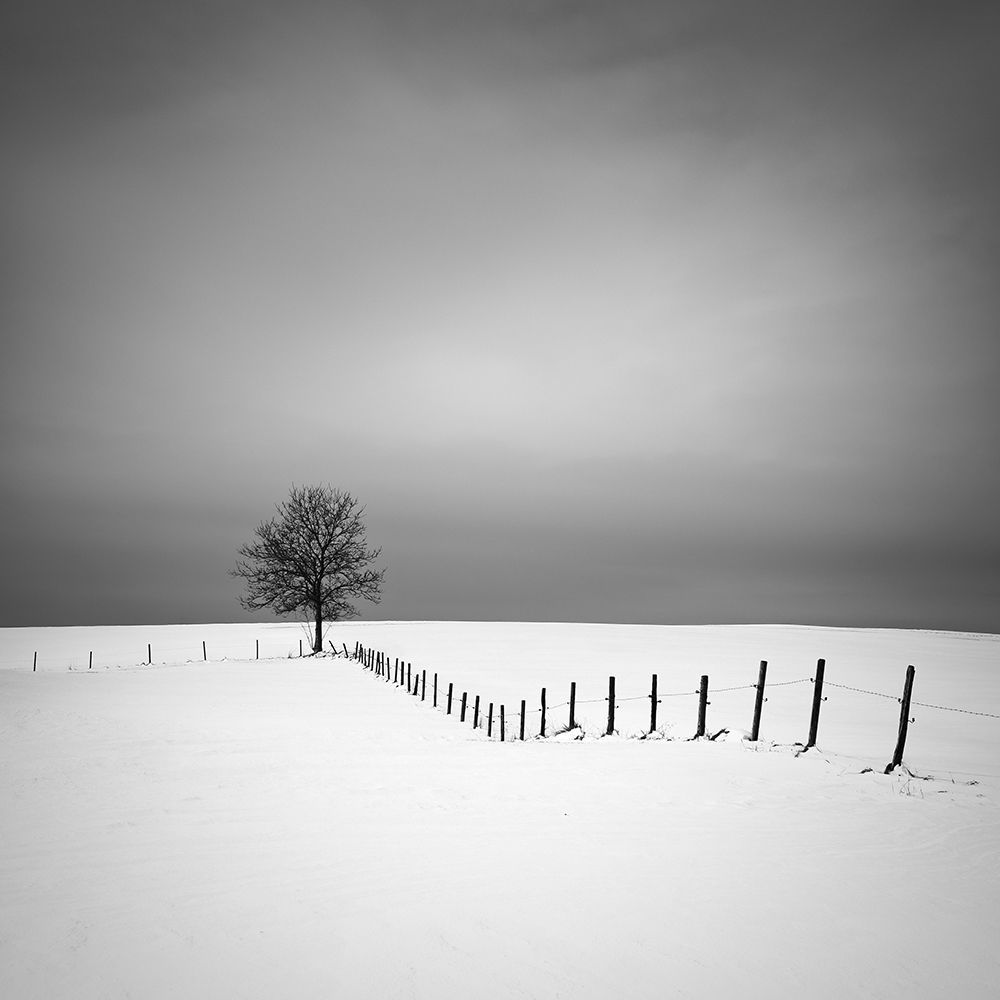 Alignment art print by Alexej Schulz for $57.95 CAD