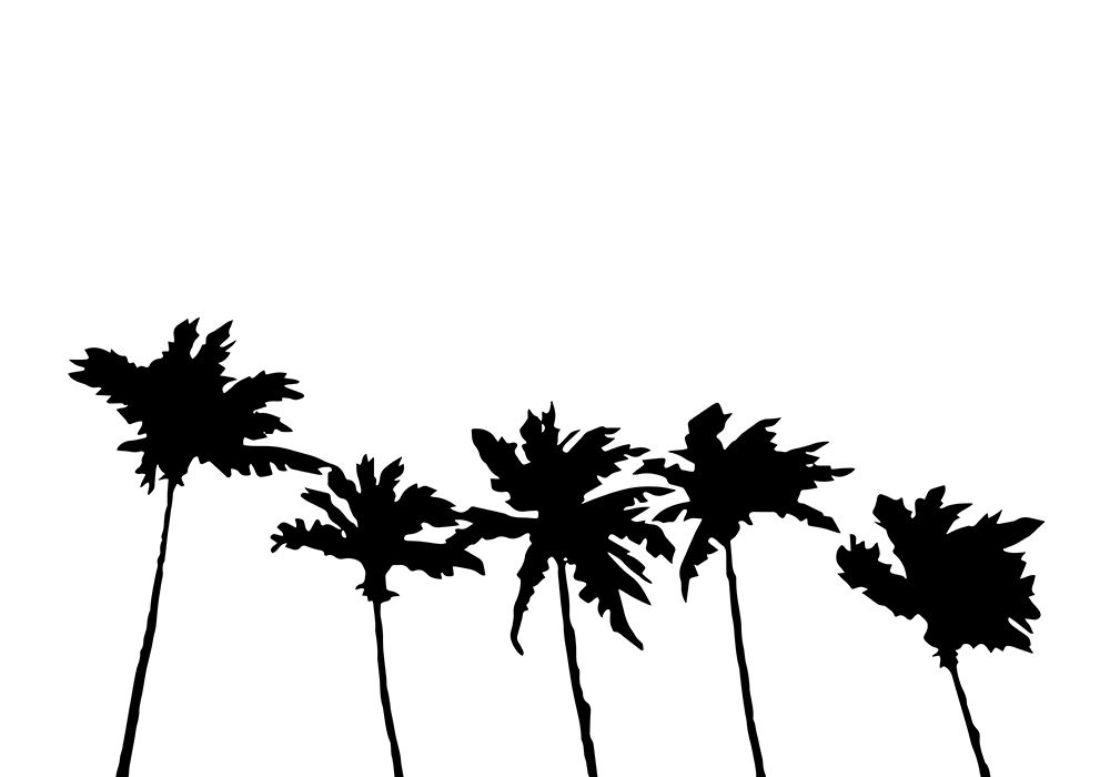 Palms White art print by 1x Studio II for $57.95 CAD
