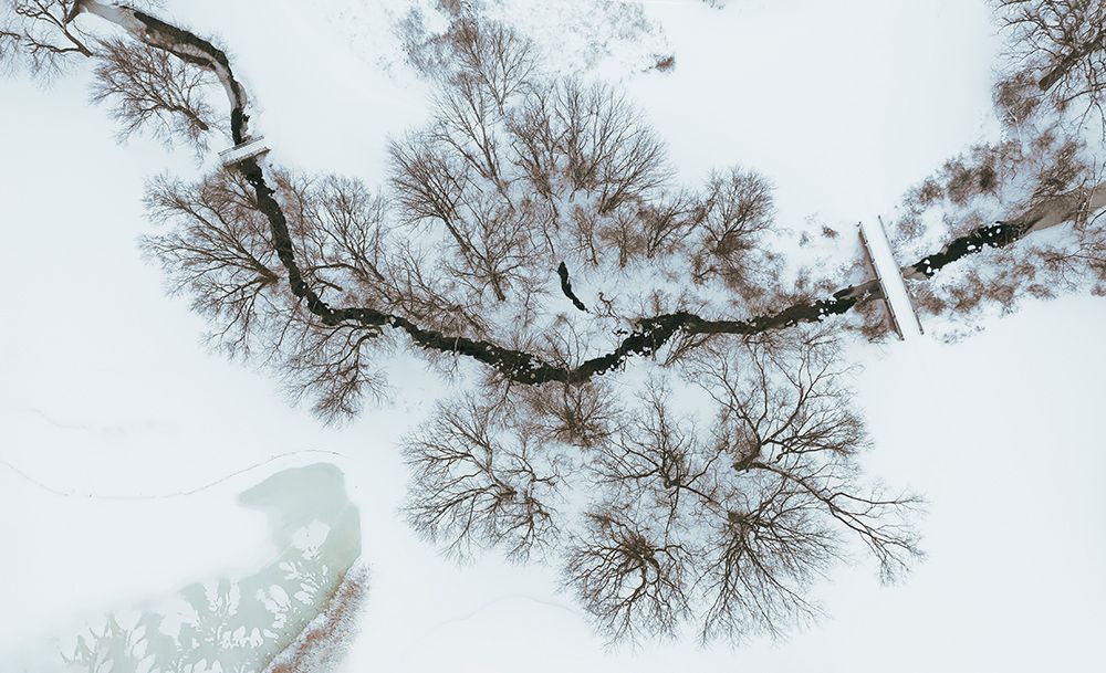After snow art print by Wei Dai for $57.95 CAD