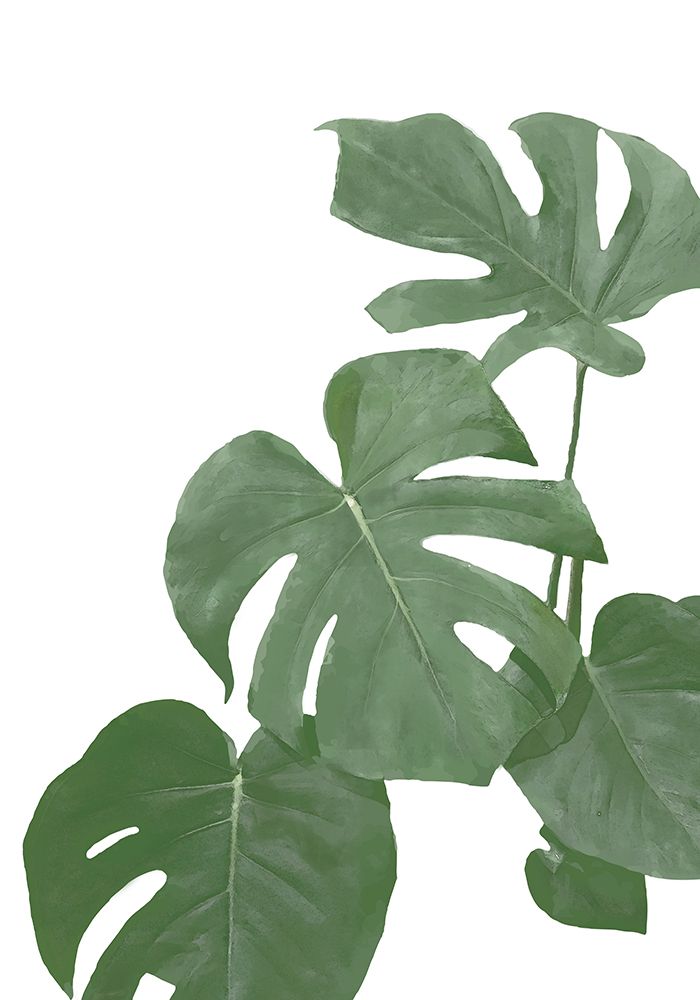 Monstera Aqua 03 art print by 1x Studio II for $57.95 CAD
