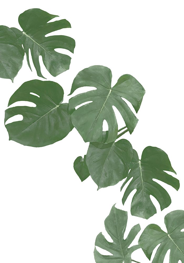 Monstera Aqua 02 art print by 1x Studio II for $57.95 CAD