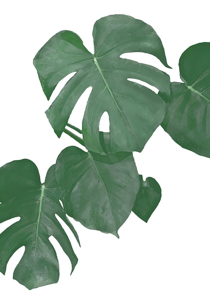 Monstera Aqua 01 art print by 1x Studio II for $57.95 CAD