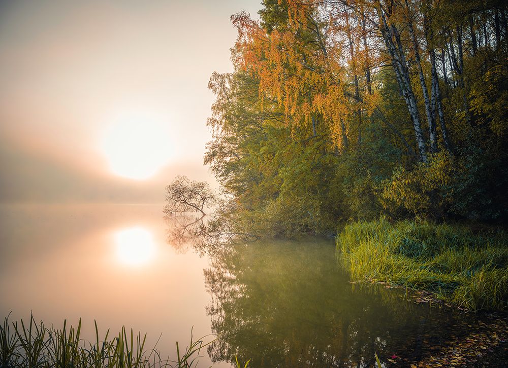 Swedish Lake art print by Christian Lindsten for $57.95 CAD