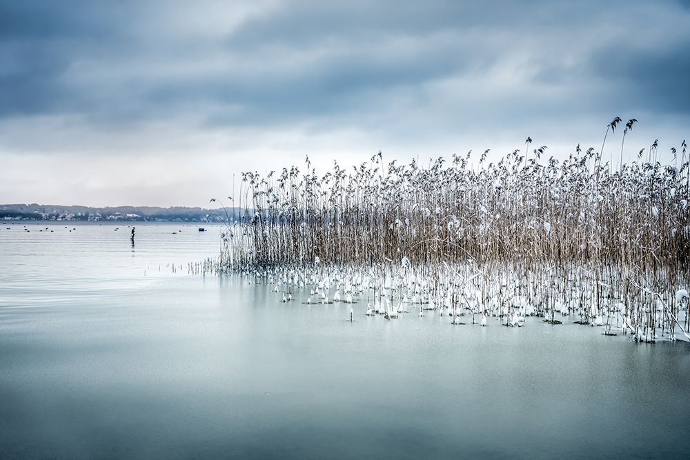 Winter Impression art print by Ulrike Eisenmann for $57.95 CAD