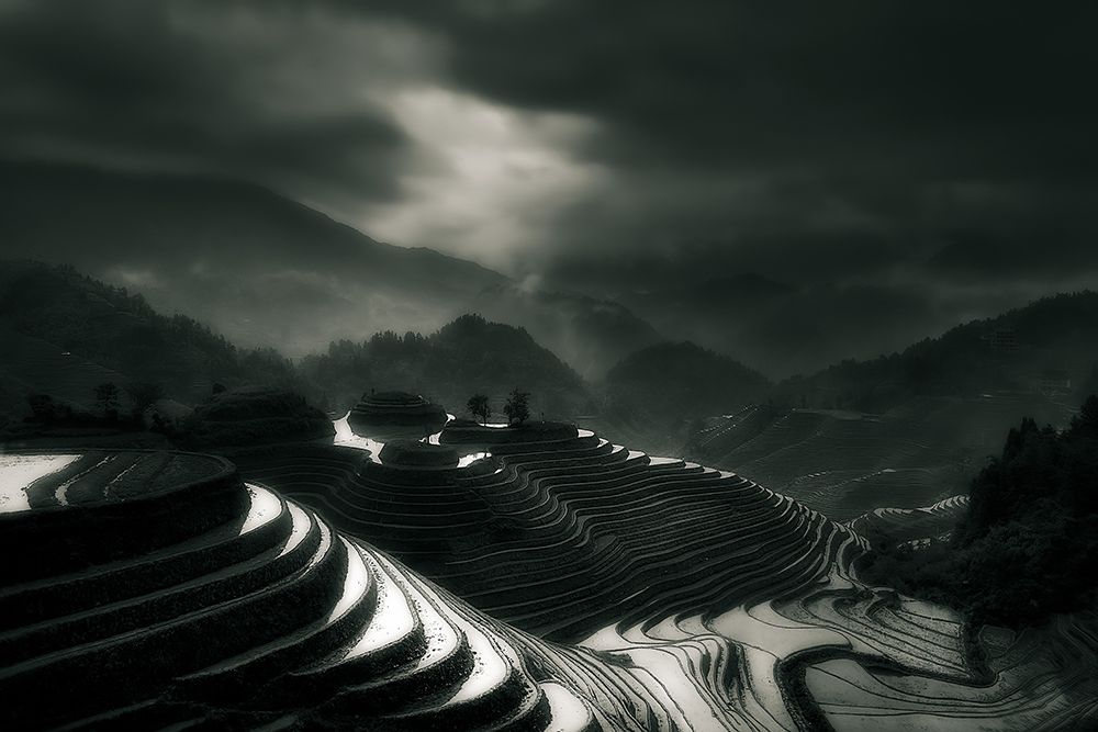 The rice fields art print by Fabrizio Massetti for $57.95 CAD