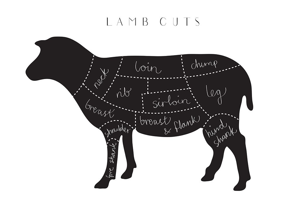 Lamb Cuts art print by 1x Studio II for $57.95 CAD