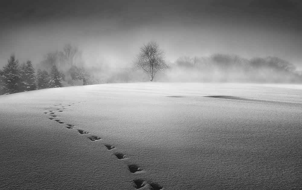 Winter scenery art print by Larry Deng for $57.95 CAD