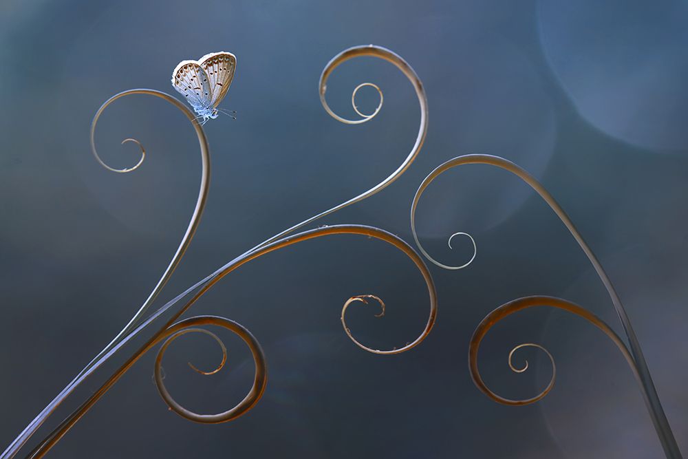 Curve art print by Edy Pamungkas for $57.95 CAD