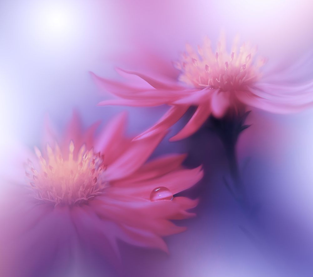 Endless Love.. art print by Juliana Nan for $57.95 CAD