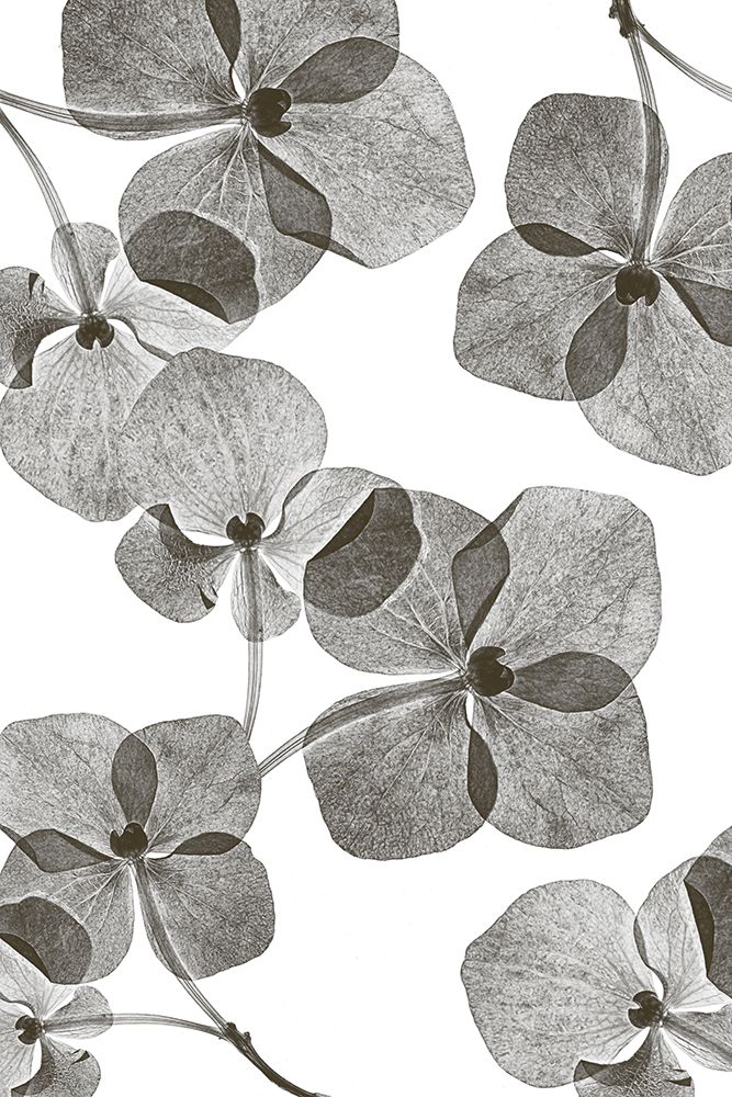 Botanical 39 art print by Lenka for $57.95 CAD