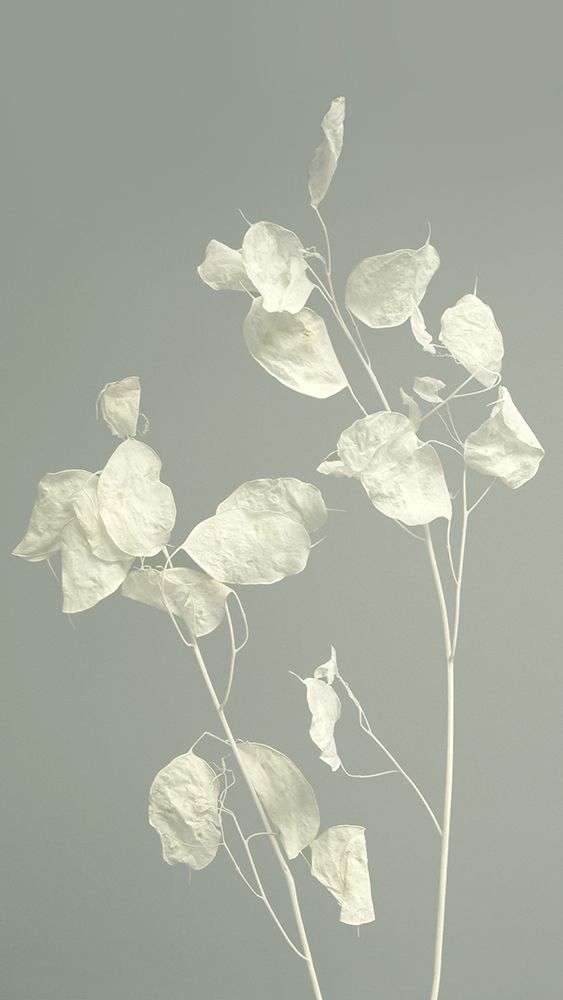 Peaceful art print by Heidi Westum for $57.95 CAD
