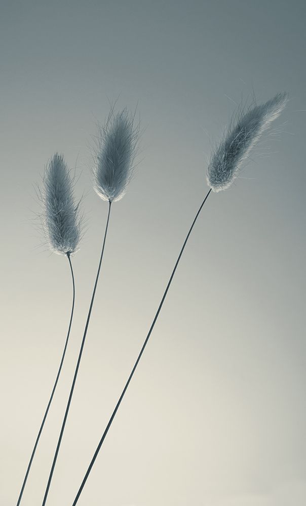 Three Of Us art print by Heidi Westum for $57.95 CAD