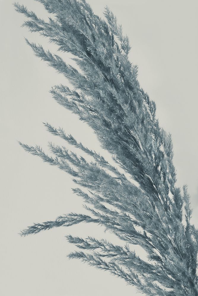 Soft art print by Heidi Westum for $57.95 CAD