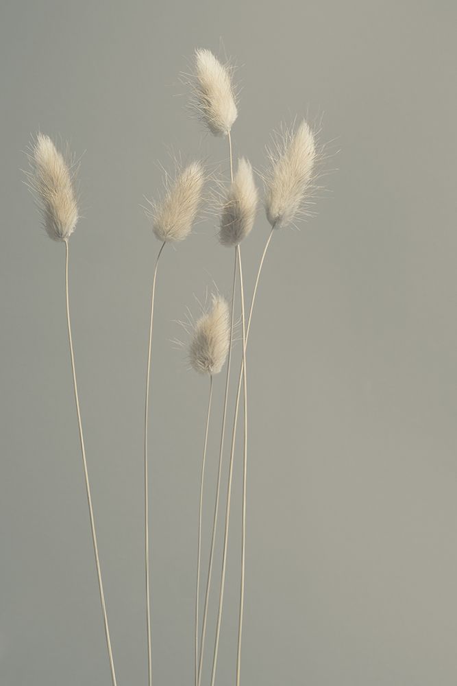 In All Simplicity art print by Heidi Westum for $57.95 CAD