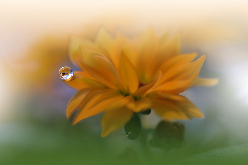 The Essence Of Being.. art print by Juliana Nan for $57.95 CAD