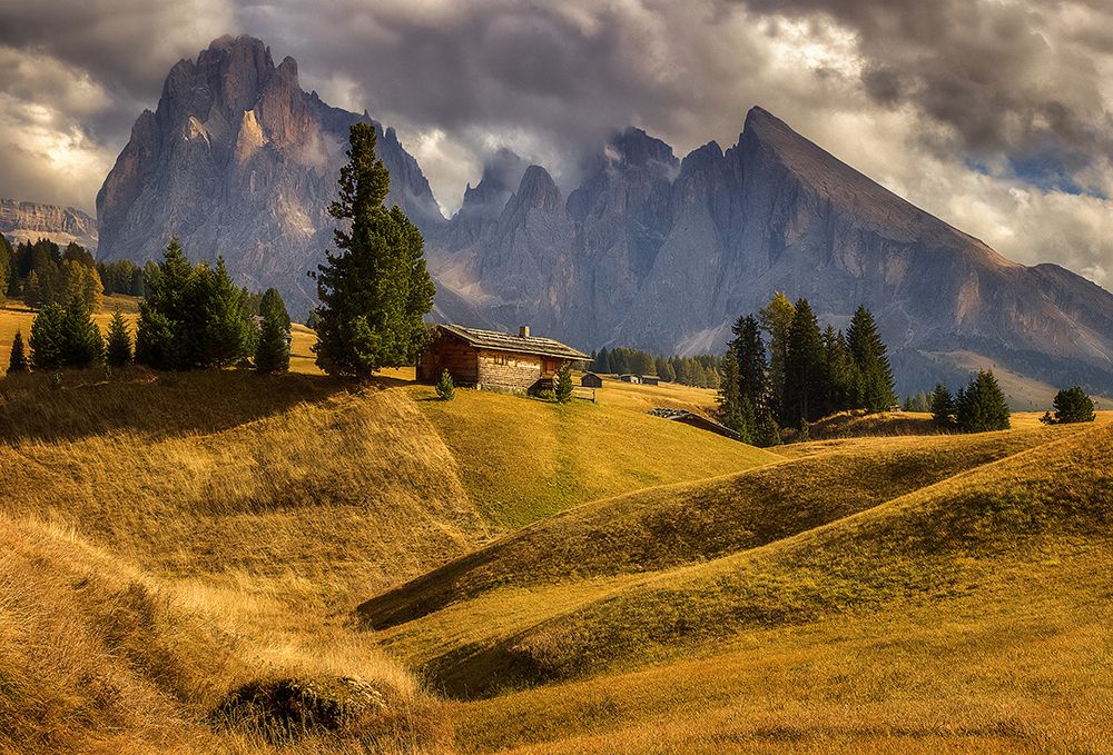 On a mountain meadow art print by Martin Kucera AFIAP for $57.95 CAD