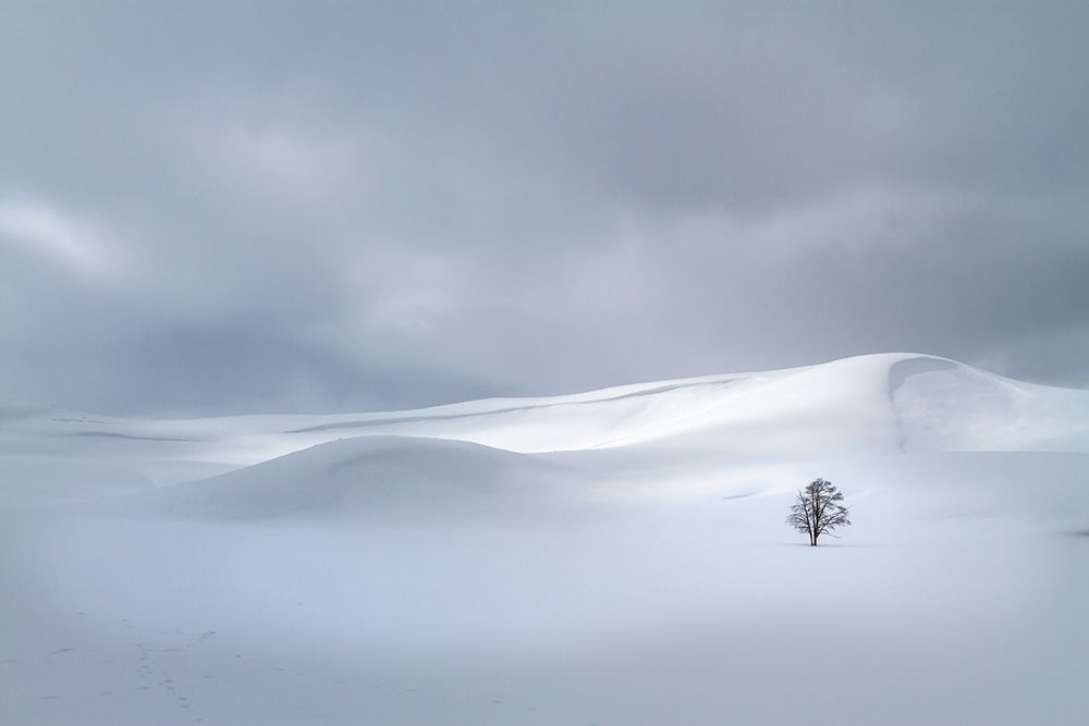 Winter Solitude 7142 art print by Karen Celella for $57.95 CAD