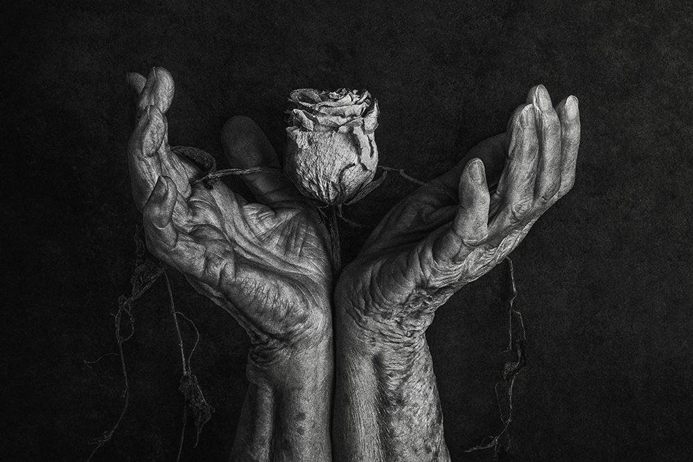 Untitled art print by Stephen Clough for $57.95 CAD