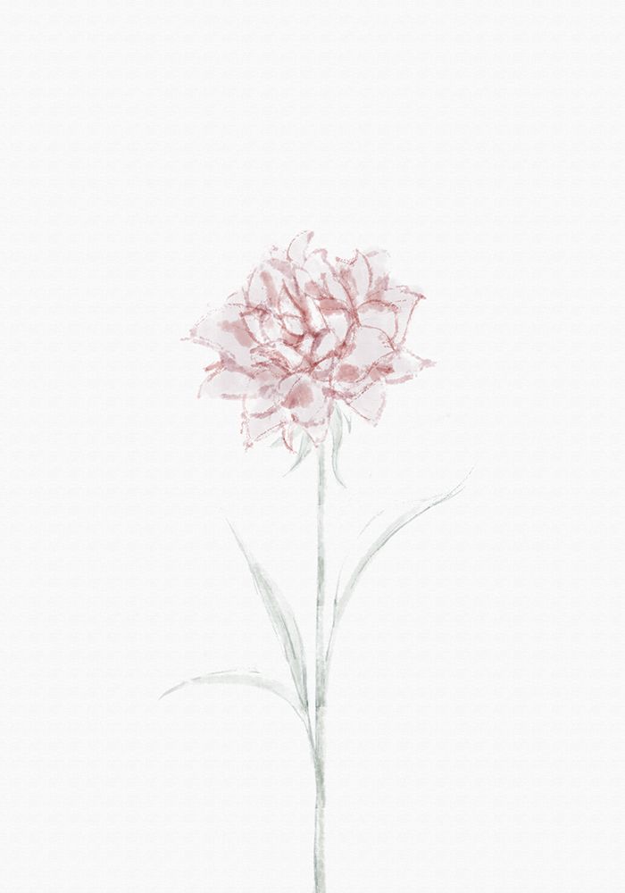 Peony 02 art print by 1x Studio II for $57.95 CAD
