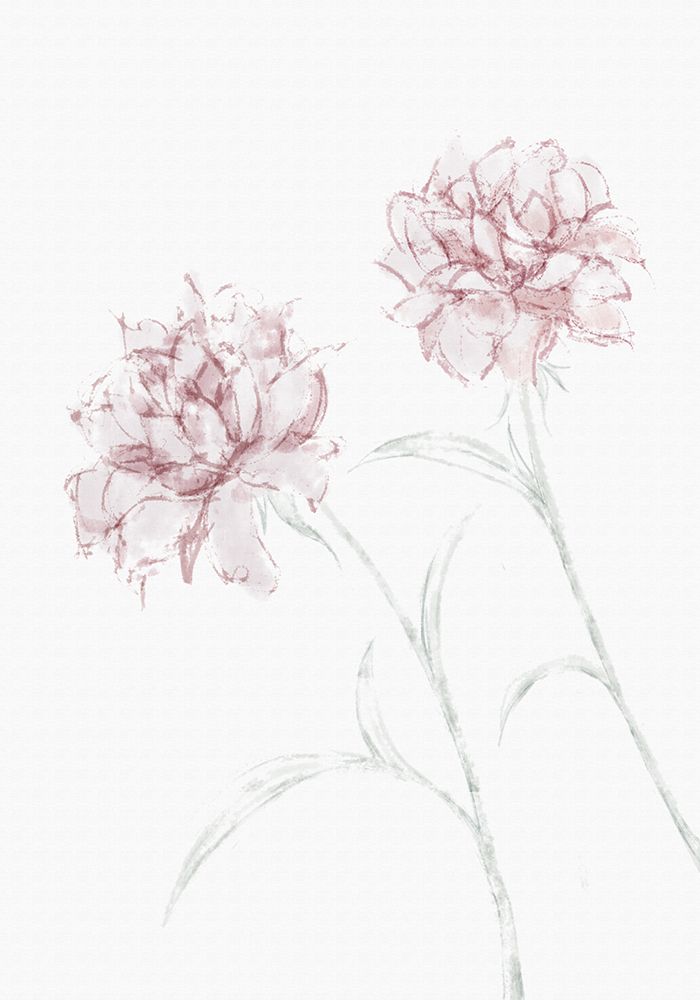 Peony 03 art print by 1x Studio II for $57.95 CAD