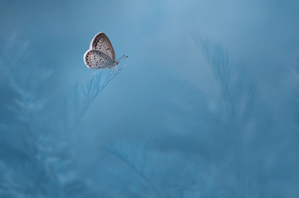 Waiting art print by Edy Pamungkas for $57.95 CAD