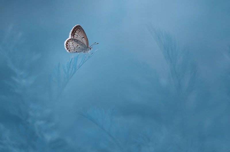 Waiting art print by Edy Pamungkas for $57.95 CAD