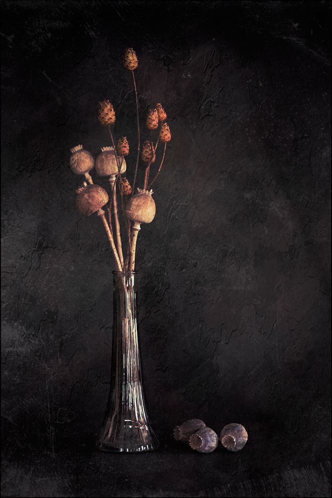 Peaceful Minds art print by Cicek Kiral for $57.95 CAD