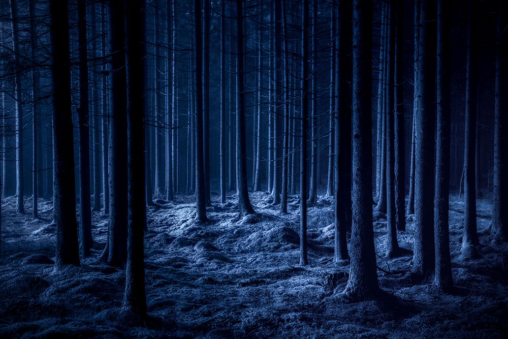 Spooky art print by Benny Pettersson for $57.95 CAD