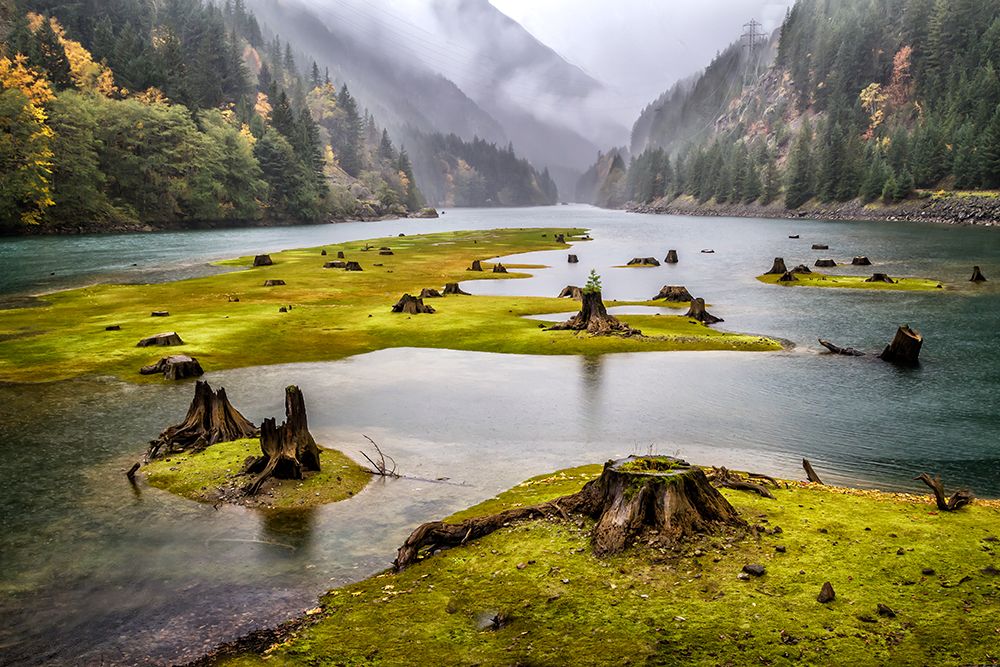 River Carpet  1288 art print by Karen Celella for $57.95 CAD