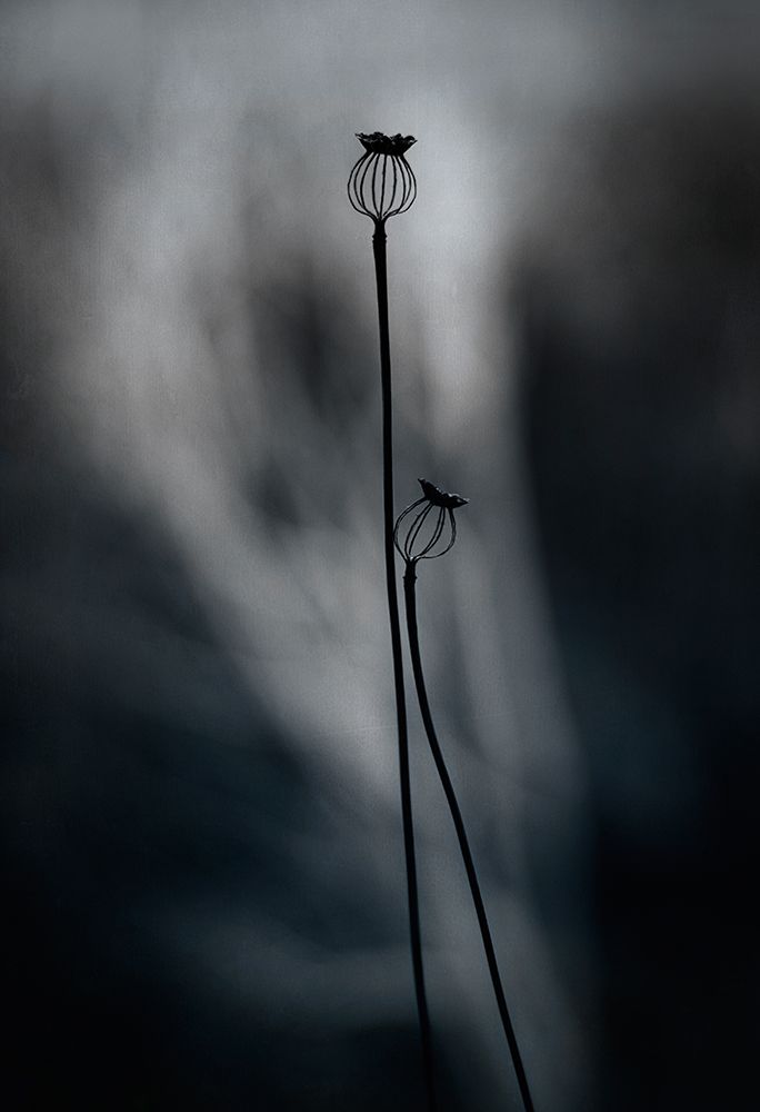 From last Year art print by Lotte Gronkjar for $57.95 CAD