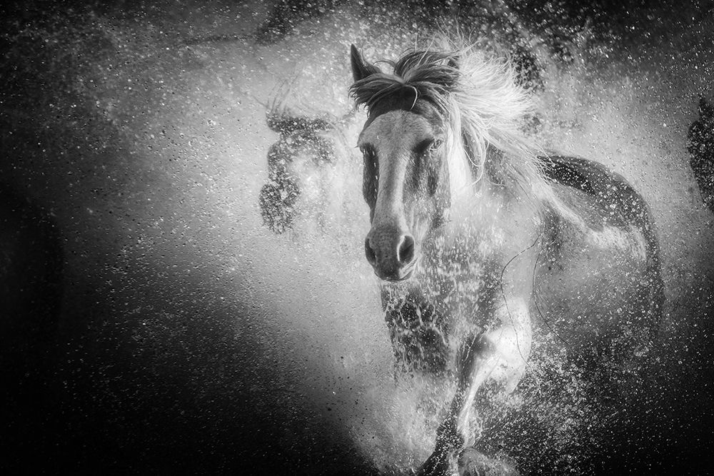 The water splashed in all directions. art print by Bingo Z for $57.95 CAD