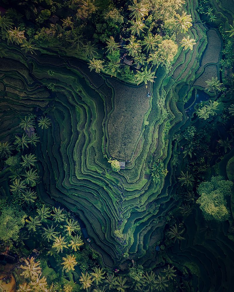 The Terracing art print by Fikri Muharram for $57.95 CAD