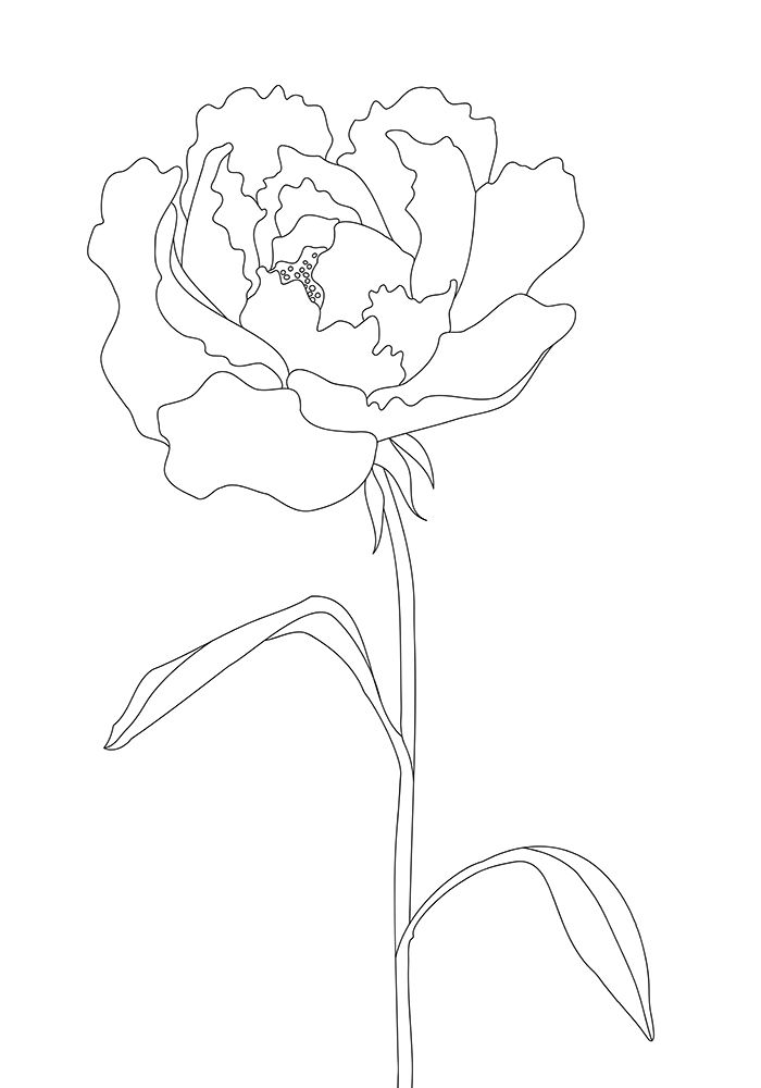 Peony Lines art print by 1x Studio II for $57.95 CAD