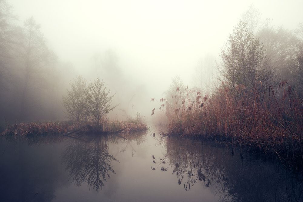 Silence art print by Pawel Kado for $57.95 CAD