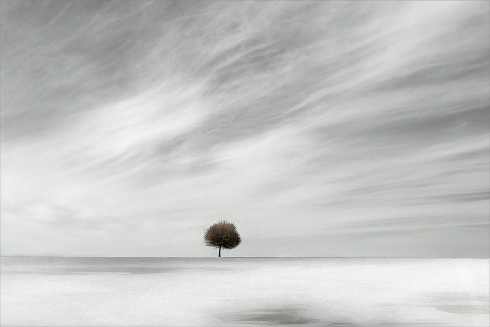 single art print by Gilbert Claes for $57.95 CAD